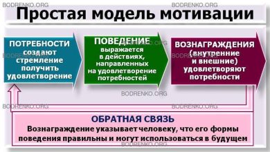 Photo of Проверенные аудиторские методики